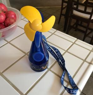 Disney Fan