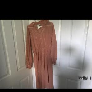 1970's Vintage Sheer Dress