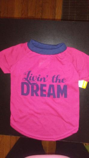 Livin the dream Tee