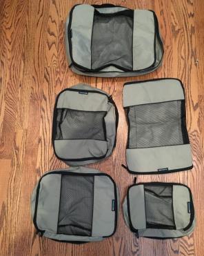 Travelwise Packing Cubes Set Of 5