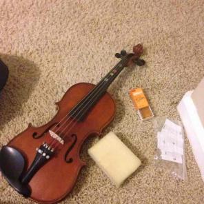Viola