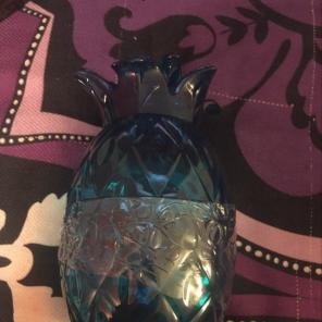 Pineapple Storage Container