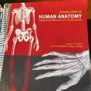 Human Anatomy Lab Book