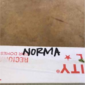 Norma 1 reserved