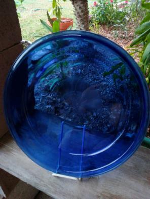 Blue pie plate