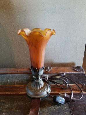 Frosted Glass Table Lamp Orange Flower
