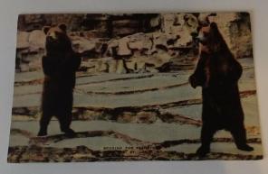 Vintage postcard Begging for Peanuts