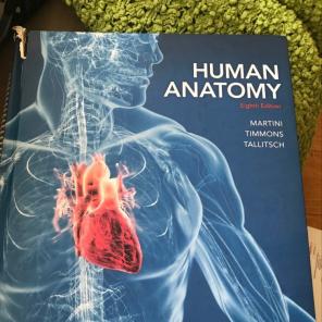 Human Anatomy