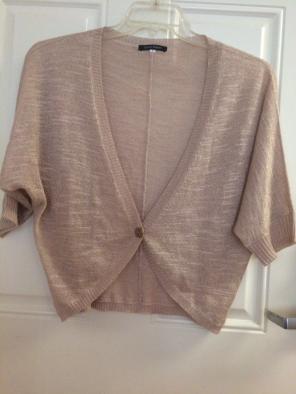 Champagne Light Sweater Top