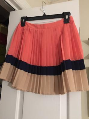 Pleated Chiffon Skirt