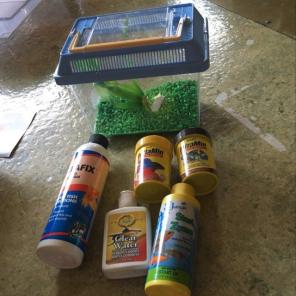 Fish Starter Kit: Fish Tank & Food