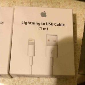 Authentic apple charger