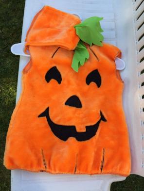 Cute Pumpkin Halloween Costume!!