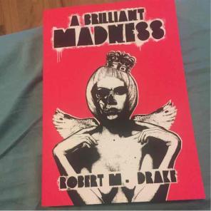 Robert M Drake A Brilliant Madness