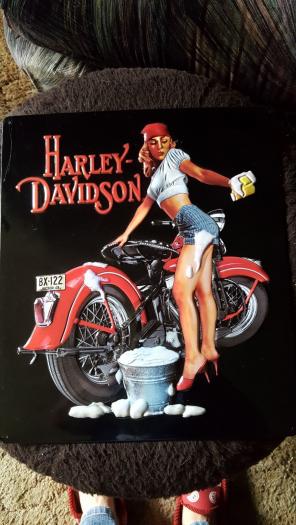 Washer Babe Tin Sign