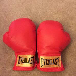 New Everlast Kids S/M Boxing Gloves