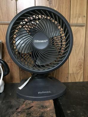Fan