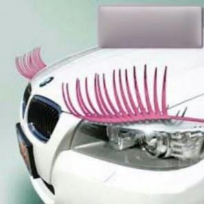 Pink Car Headlight lashes universal