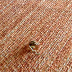 Initial pin