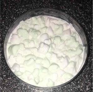 Marshmallow Dream(chewed up bbgum) Slime