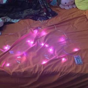 Copper Photo Clip String Lights