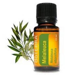 NEW- Doterra Melaleuca (Tea Tree) Oil