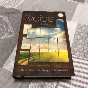 The Voice Bible