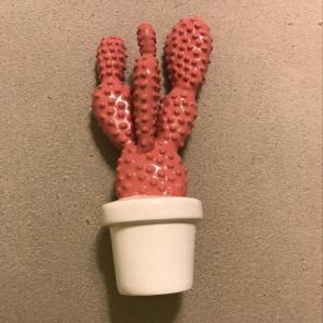 Pink And White Succulent Decor