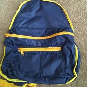 Blue and Yellow Backpack