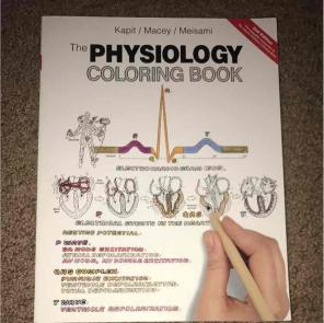 Brand new Physiology Coloring Book