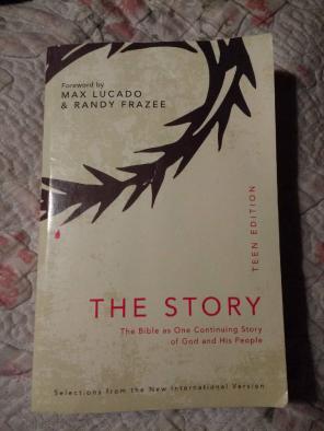 The Story Teen Edition NIV Bible