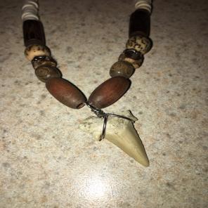 Shark Tooth Necklace