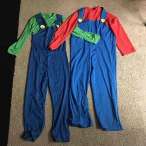 Mario and Luigi costume.