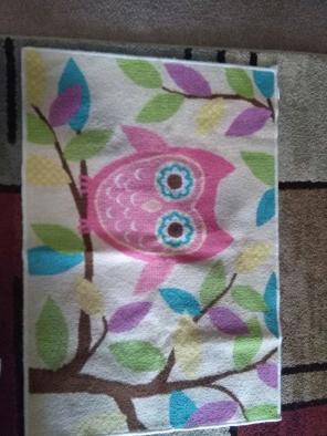 Owl rug! Very cute.