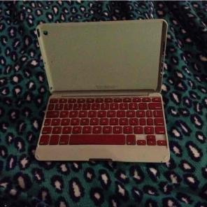 iPad mini zagg keyboard case