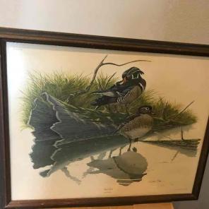 Panting of some wood Ducks