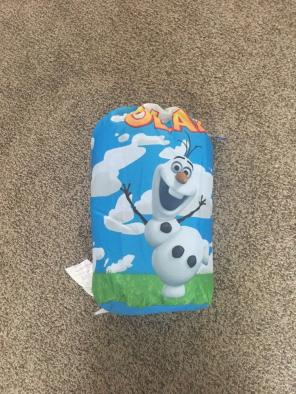 Frozen Sleeping Bag