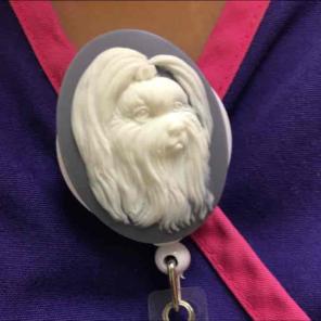 Maltisse Dog ID Badge Holder Nurse RN MD