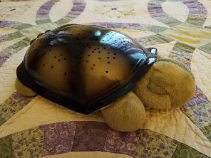 Twilight Turtle Nightlight