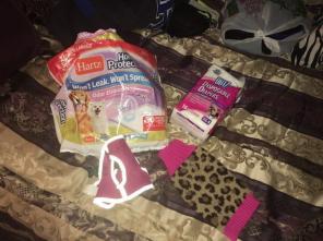 TOY/MINI DOG XS SUPPLIES BUNDLE