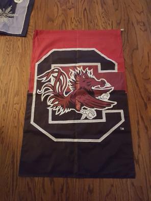 University of South Carolina Gamecocks h