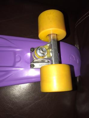 Penny Board Skateboard
