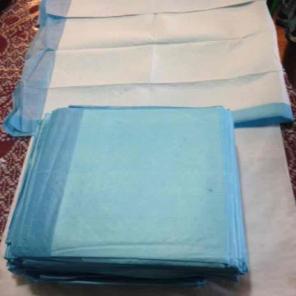 Absorbency Under Pad 2 Bx $110