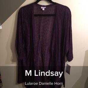 LulaRoe Medium Lindsay Purple NWT