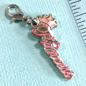 Disney Princess Charm