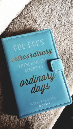 Blue 2017-2018 planner