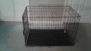Dog Kennel