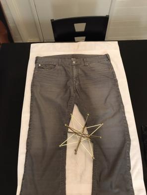 True Religion Pants