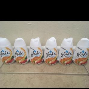 6 Glade Solids