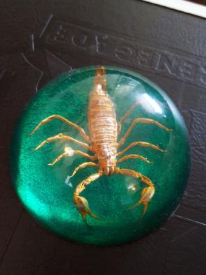 Scorpion Resin Paper Weight